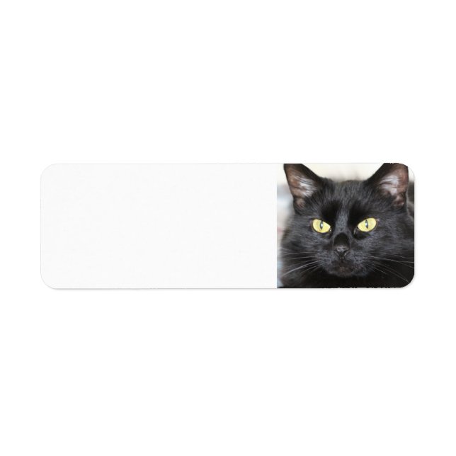 Black Cat Label (Front)