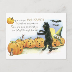 Black Cat Leading Jack O' Lantern Halloween Choir Postcard