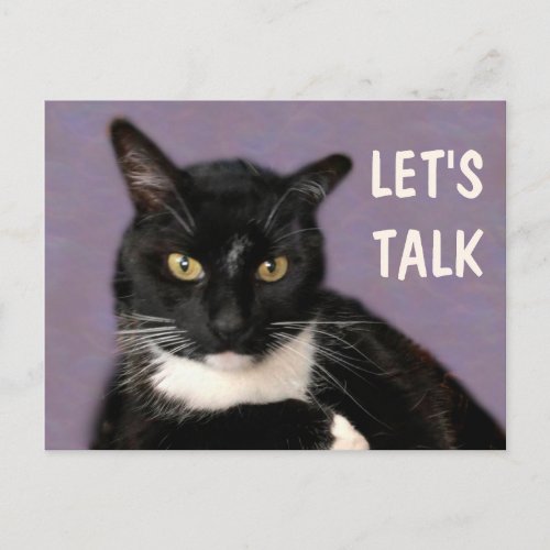 Black Cat Lets Talk Postcard