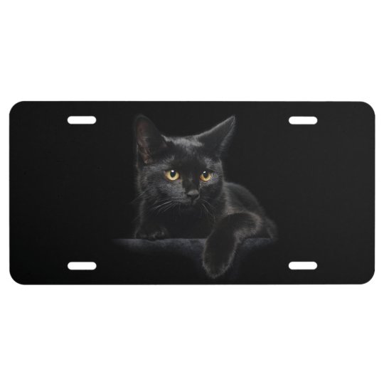 Black Cat License Plate | Zazzle.com