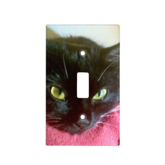 Black Cat Light Switch Cover (Front)