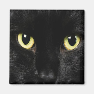 BLACK CAT Locker Magnets, Refrigerator Magnet