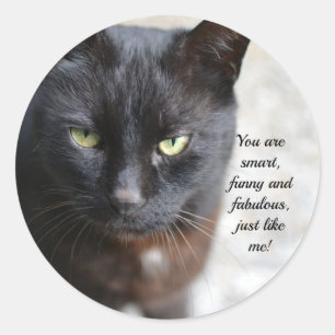 Black Cat Lover Image with Motivational Quote Classic Round Sticker