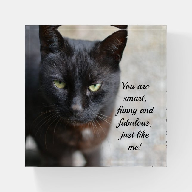 Black Cat Lover Image with Motivational Quote Paperweight (Front)