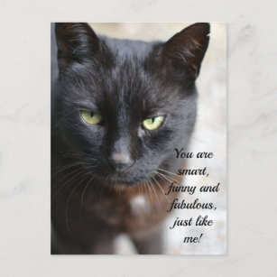 funny black cat pictures with quotes