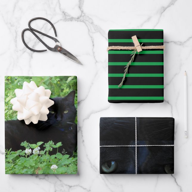 Black Cat Lovers Gift or Craft Wrapping Paper Sheets (Front)