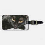 Black Cat Luggage Tag at Zazzle