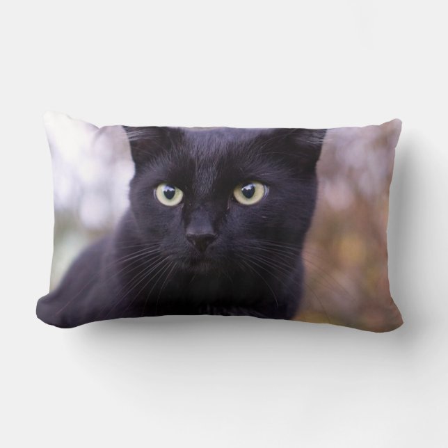 black cat lumbar pillow (Front)