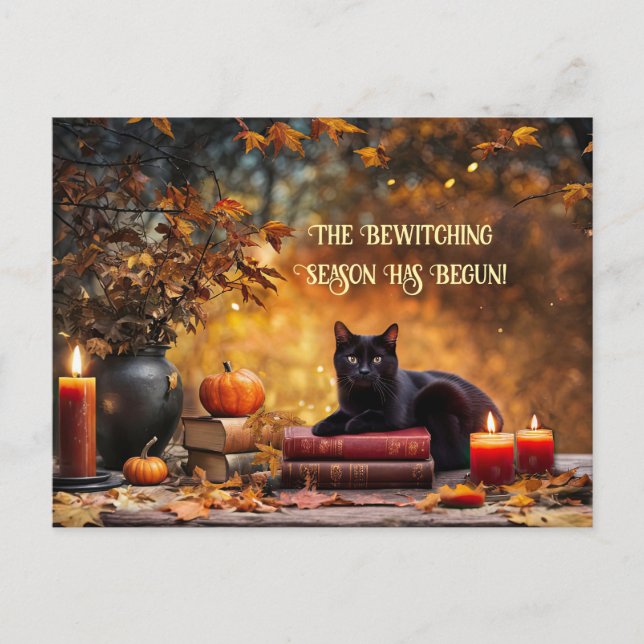 Black Cat Magic Books Bewitching Halloween Holiday Postcard (Front)