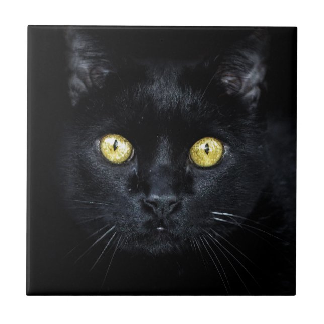 Black Cat, Magic Eyes Ceramic Tile (Front)