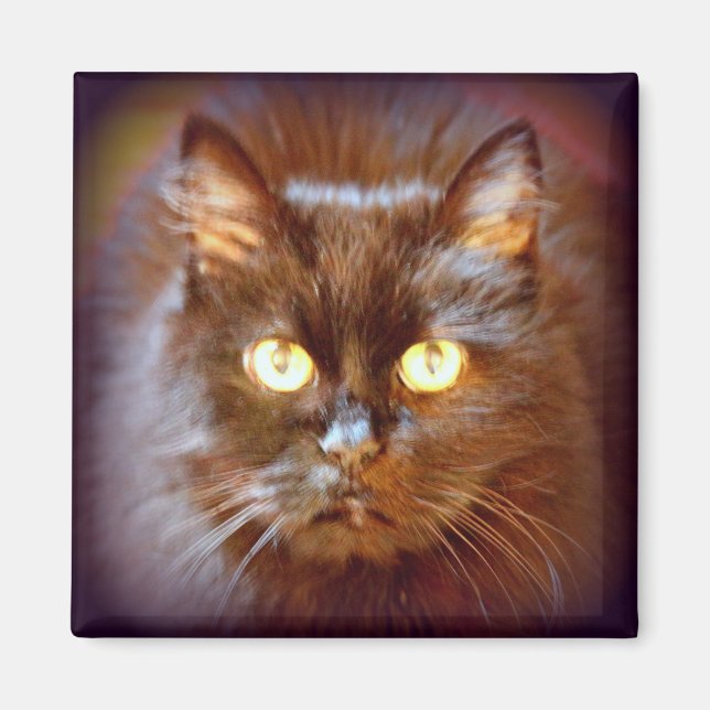 black cat magnet (Front)