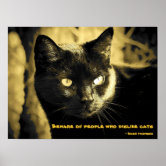 Scaredy cats Photographic Print by Getaway21