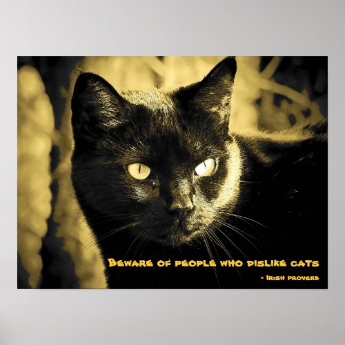 Black Cat Meme with Irish proverb Poster