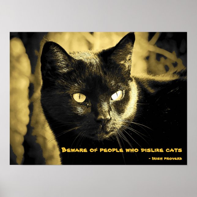 Black Cat Meme with Irish proverb Poster (Front)
