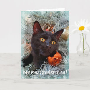 Black Cat Merry Christmas Card