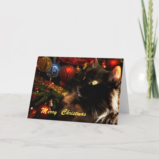 Black Cat Merry Christmas Holiday Card | Zazzle.com