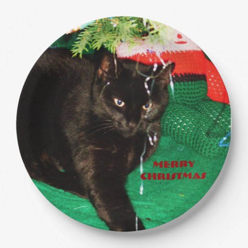 BLACK CAT MERRY CHRISTMAS   PAPER PLATES