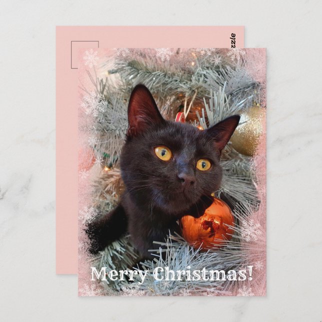 Black Cat Merry Christmas  Postcard (Front/Back)