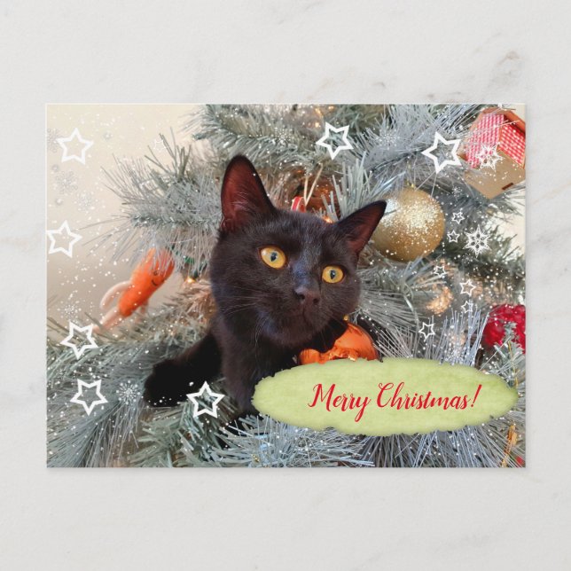 Black Cat Merry Christmas  Postcard (Front)