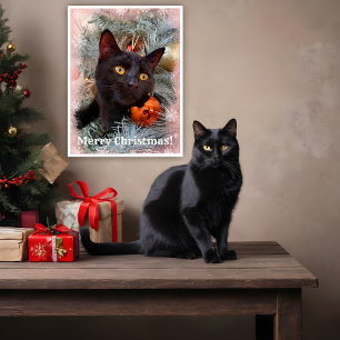 Black Cat Merry Christmas Poster