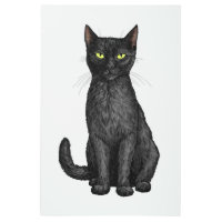 Black cat