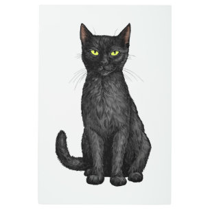 Black cat metal print