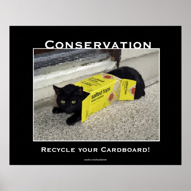 Black Cat Motivational Posters (Front)