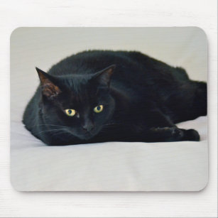 Pussy Cat Mouse Pads | Zazzle