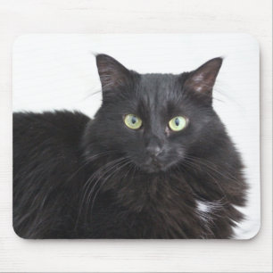 Black cat mousepad