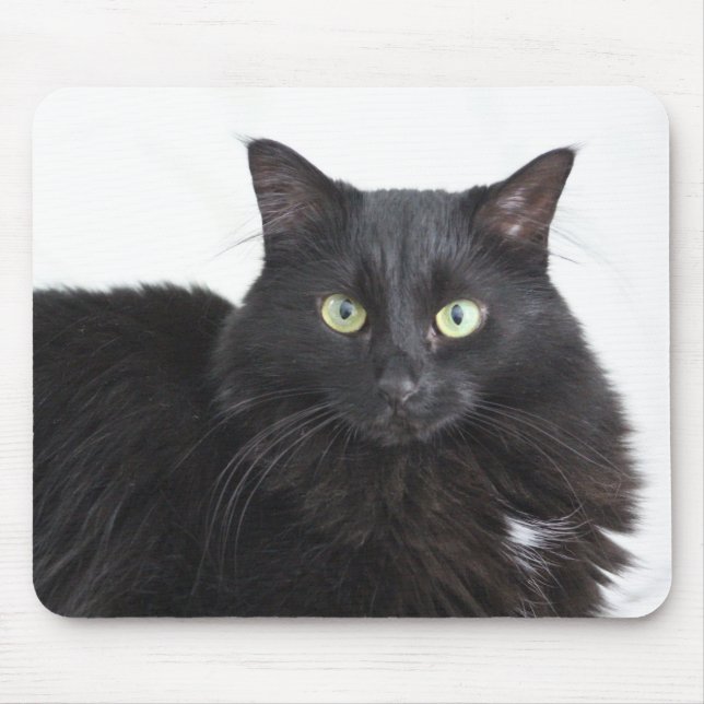 Black cat mousepad (Front)