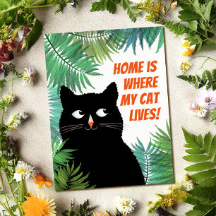 Black cat moving announcement postcard