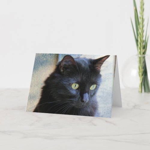 Black Cat Note Cards blank inside Card