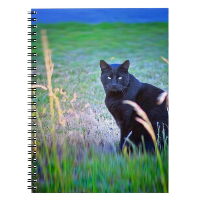 Black Cat Notebook (Front)