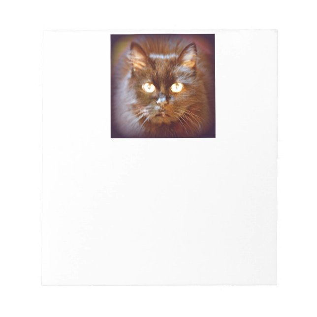 black cat notepad (Front)