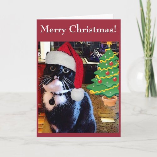 Black Cat O Christmas Tree Card