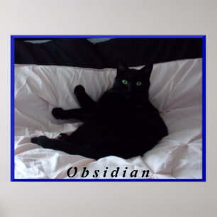 Black Cat "Obsidian" Poster