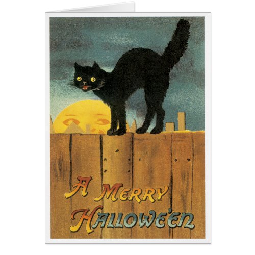 Black Cat On A Fence Vintage Card