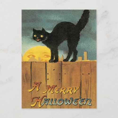 Black Cat On A Fence Vintage Postcard