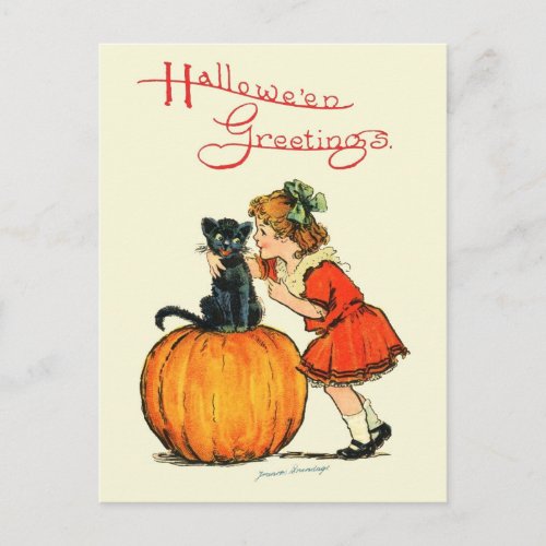 Black Cat on a Pumpkin Postcard