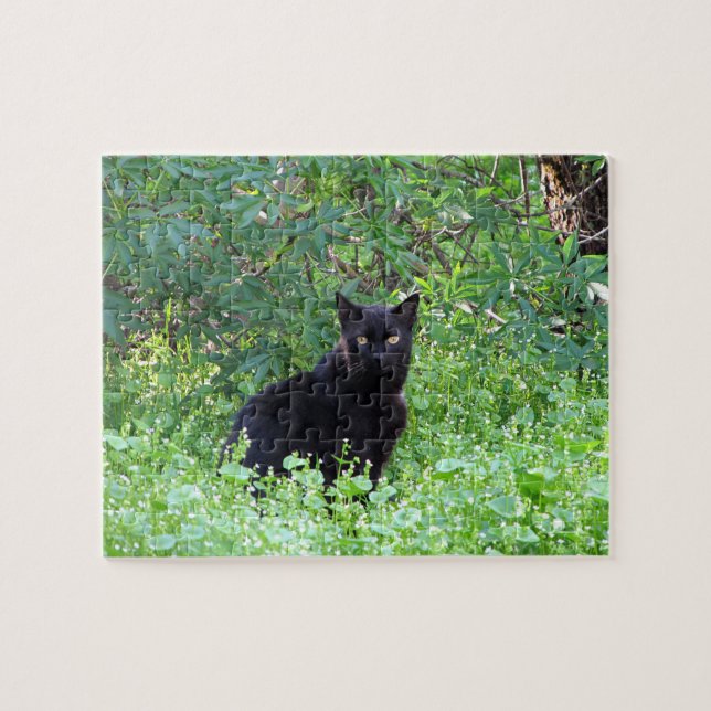 Black Cat on a Spring Day Puzzle (Horizontal)