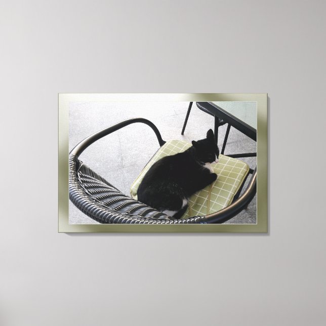 Black cat on a terrace canvas print (Front)
