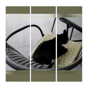 Black cat on a terrace triptych