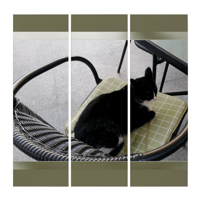 Black cat on a terrace triptych (Front)