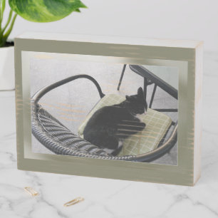 Black cat on a terrace wooden box sign