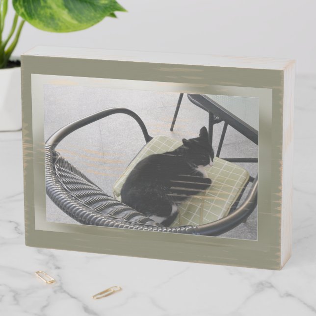 Black cat on a terrace wooden box sign (In Situ Horizontal)
