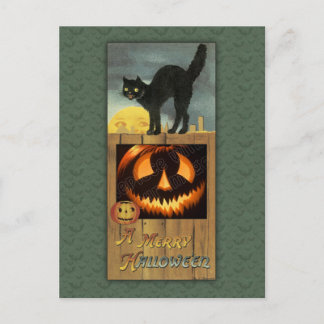 Black cat on a wooden fence with pumpkin postcard