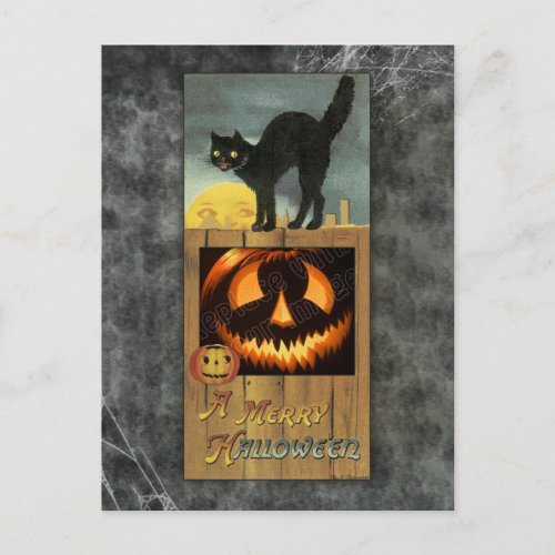 Black cat on a wooden fence with pumpkin postcard