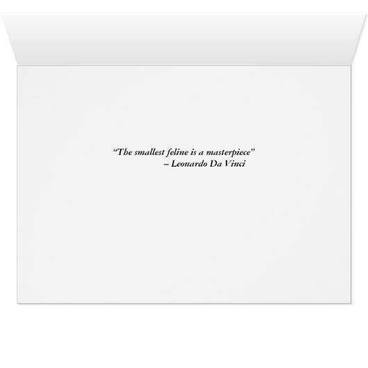 Black Cat on Bench with Pink Geraniums (Inside Horizontal (Bottom))