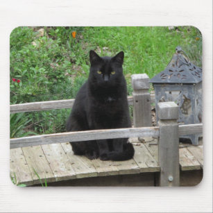 Black Cat on Bridge Mousepad