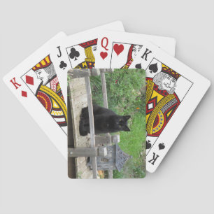 Black Cat on Bridge Playing Cards